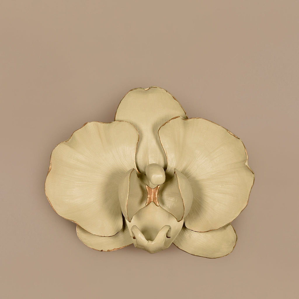 Orchid Wall Decor - Bloomr