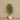-Artificial Longifolia Tree 150cm-Bloomr