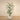 '-Artificial Palm Tree 240cm-Bloomr