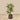 Trees-Artificial Calathea Tree <br> 105cm-Bloomr