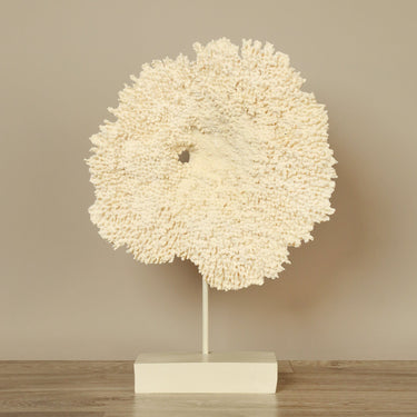 '-Coral on Base-Bloomr