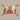 Cushions-Cushion Cover-Bloomr