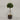 Desginers Collection-Artificial Laurel Tree with Pot-Bloomr