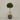 Desginers Collection-Artificial Laurel Tree with Pot-Bloomr