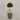 Desginers Collection-Artificial Laurel Tree with Pot-Bloomr