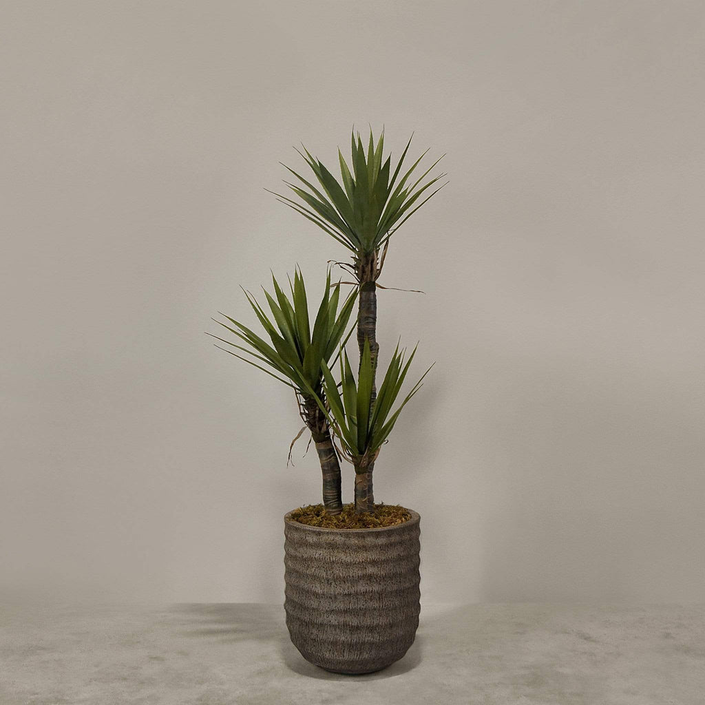 Artificial Yucca Plant With Pot - Bloomr