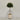 Desginers Collection-Artificial Laurel Tree with Pot-Bloomr