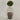 Desginers Collection-Artificial Laurel Tree with Pot-Bloomr