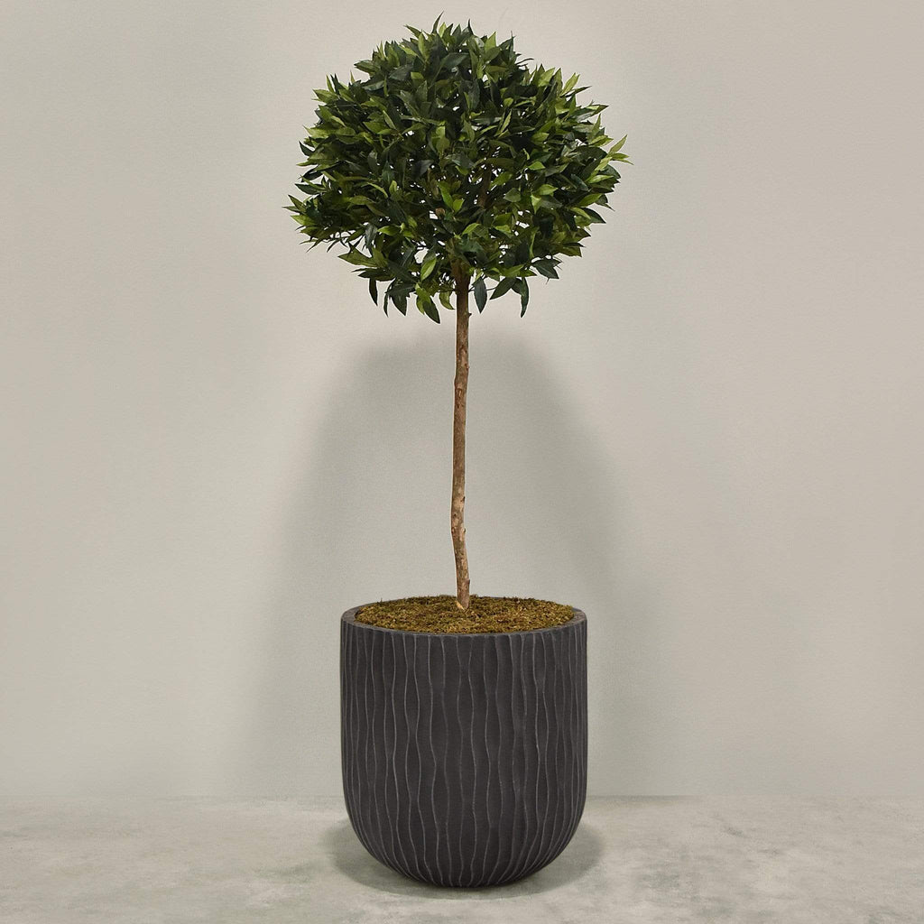 Artificial Laurel Tree with Pot - Bloomr