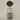 Desginers Collection-Artificial Laurel Tree with Pot-Bloomr