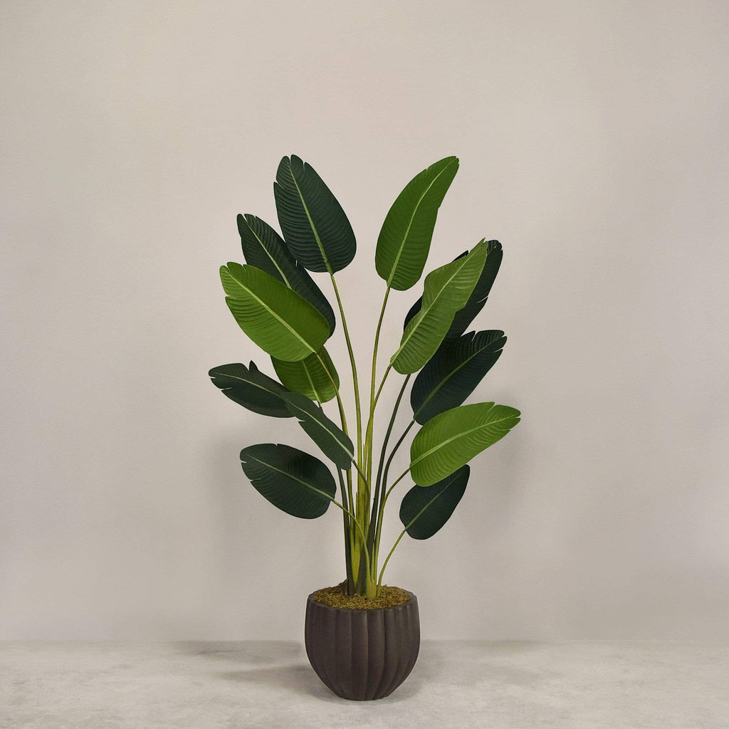 Artificial Strelitzia With Pot - Bloomr