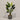 Desginers Collection-Artificial Travelers Palm with Pot-Bloomr