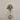 Desginers Collection-Artificial Olive Tree With Pot-Bloomr