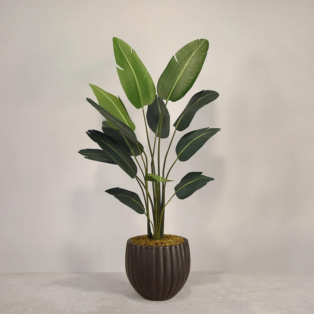 Artificial Strelitzia With Pot - Bloomr
