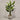 Desginers Collection-Artificial Travelers Palm with Pot-Bloomr