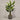 Desginers Collection-Artificial Travelers Palm with Pot-Bloomr