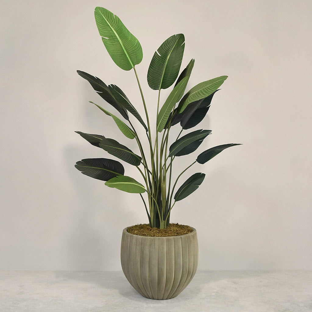 Artificial Strelitzia With Pot - Bloomr