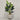 Desginers Collection-Artificial Strelitzia With Pot-Bloomr