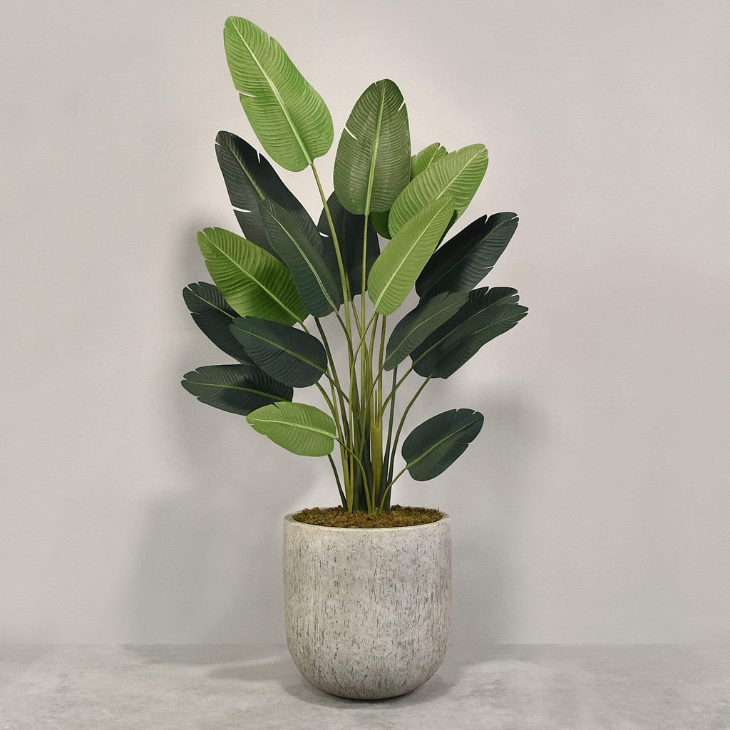 Artificial Strelitzia With Pot - Bloomr
