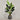 Desginers Collection-Artificial Strelitzia With Pot-Bloomr