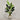 Desginers Collection-Artificial Strelitzia With Pot-Bloomr
