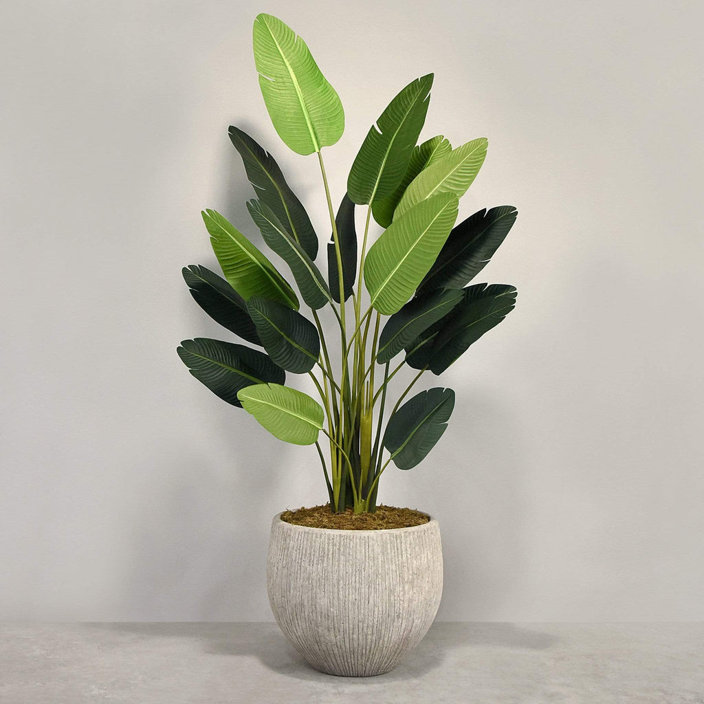Artificial Strelitzia With Pot - Bloomr