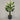 Desginers Collection-Artificial Travelers Palm with Pot-Bloomr