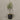 Desginers Collection-Artificial Olive Tree With Pot-Bloomr