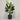 Desginers Collection-Artificial Strelitzia With Pot-Bloomr