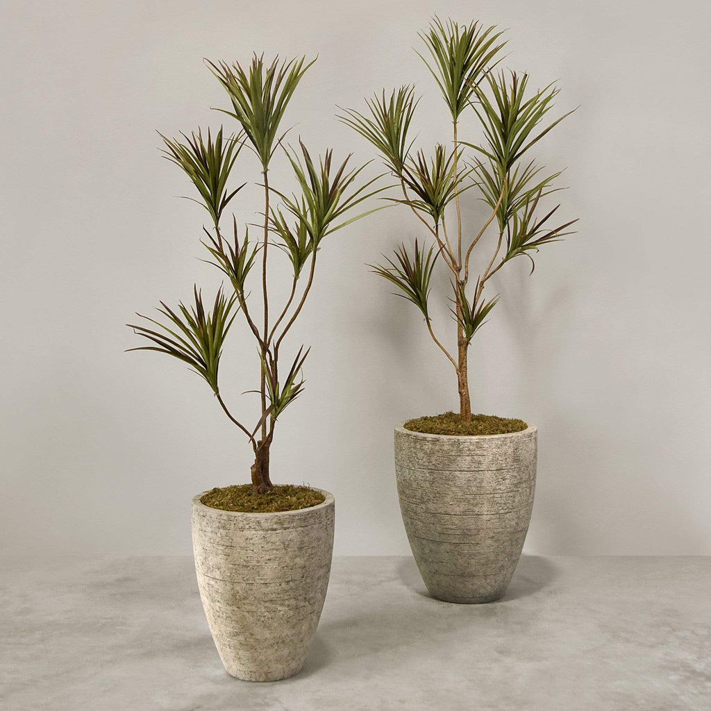 Artificial Draecena With Pot - Bloomr