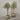 Desginers Collection-Artificial Olive Tree With Pot-Bloomr