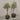 Desginers Collection-Artificial Olive Tree With Pot-Bloomr