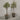 Desginers Collection-Artificial Olive Tree With Pot-Bloomr