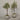 Desginers Collection-Artificial Olive Tree With Pot-Bloomr