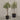 Desginers Collection-Artificial Olive Tree With Pot-Bloomr