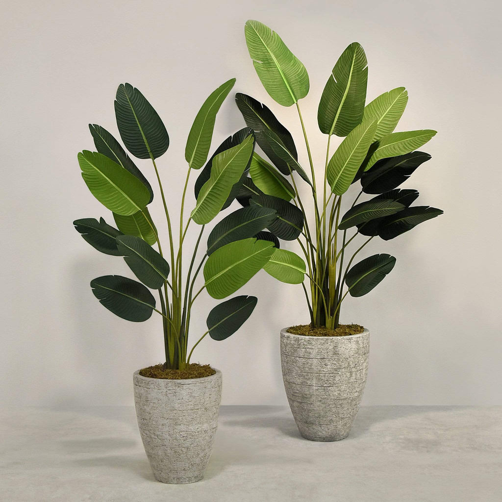 Artificial Strelitzia With Pot - Bloomr