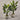 Desginers Collection-Artificial Travelers Palm with Pot-Bloomr