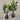 Desginers Collection-Artificial Travelers Palm with Pot-Bloomr