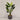 Desginers Collection-Artificial Travelers Palm with Pot-Bloomr