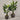 Desginers Collection-Artificial Travelers Palm with Pot-Bloomr