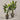 Desginers Collection-Artificial Travelers Palm with Pot-Bloomr