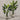 Desginers Collection-Artificial Travelers Palm with Pot-Bloomr