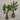 Desginers Collection-Artificial Travelers Palm with Pot-Bloomr