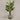 Desginers Collection-Artificial Travelers Palm with Pot-Bloomr