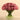 Floral Arrangement-Carnation Arrangement in Glass Vase-Bloomr