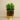 Floral Arrangement-Artificial Potted Succulent-Bloomr