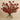 Floral Arrangement-Artificial Kangaroo Paw Arrangement-Bloomr