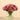 Floral Arrangement-Carnation Arrangement in Glass Vase-Bloomr