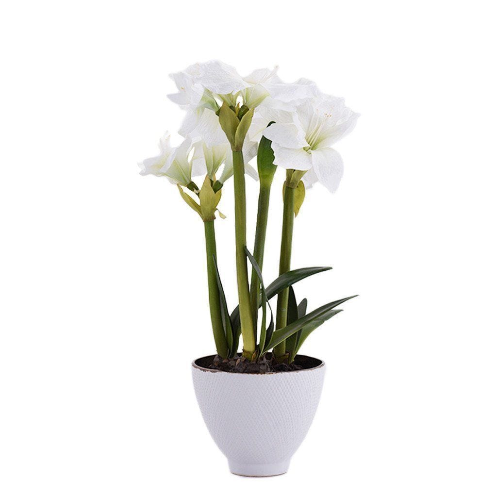 Artificial Amaryllis - Bloomr
