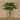 Floral Arrangement-Aralia Leaf Arrangement in Glass Vase-Bloomr